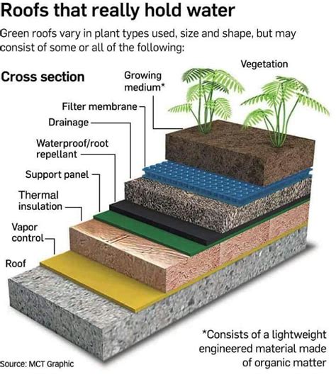 Successful green roof detail | Green roof, Living roofs, Sustainable ...