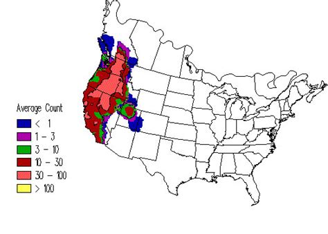 California Quail - eBirdr