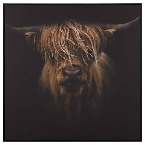 Scottish Highland Cattle Framed Printed Canvas | Bouclair.com