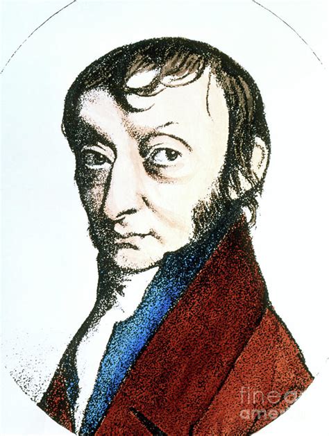 Amedeo Avogadro Photograph by Science Photo Library