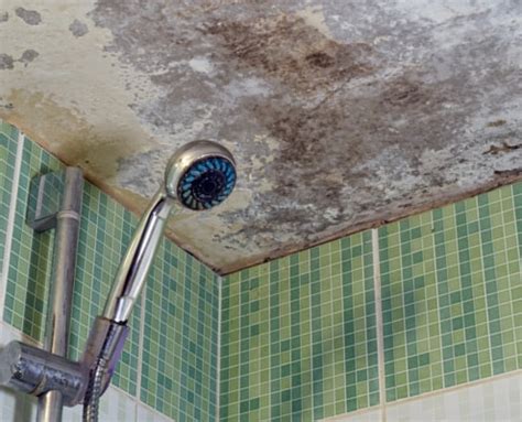 How To Get Rid Of Mold Spots On Bathroom Ceiling | Shelly Lighting