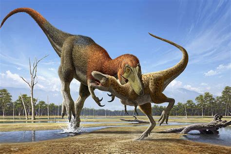 Tiny T. rex fossils may be distinct species – but not everyone agrees | New Scientist