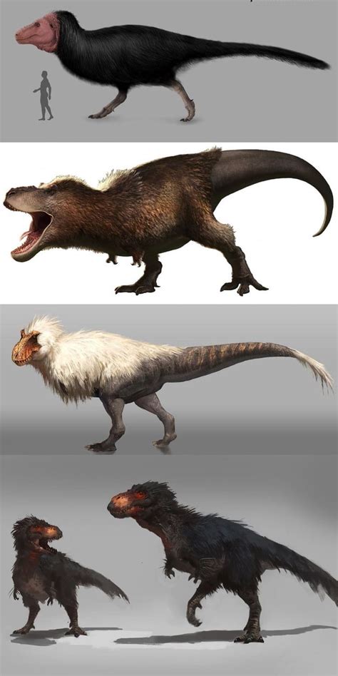 The Tyrannosaurus Rex had feathers and probably looked something like one of these ...