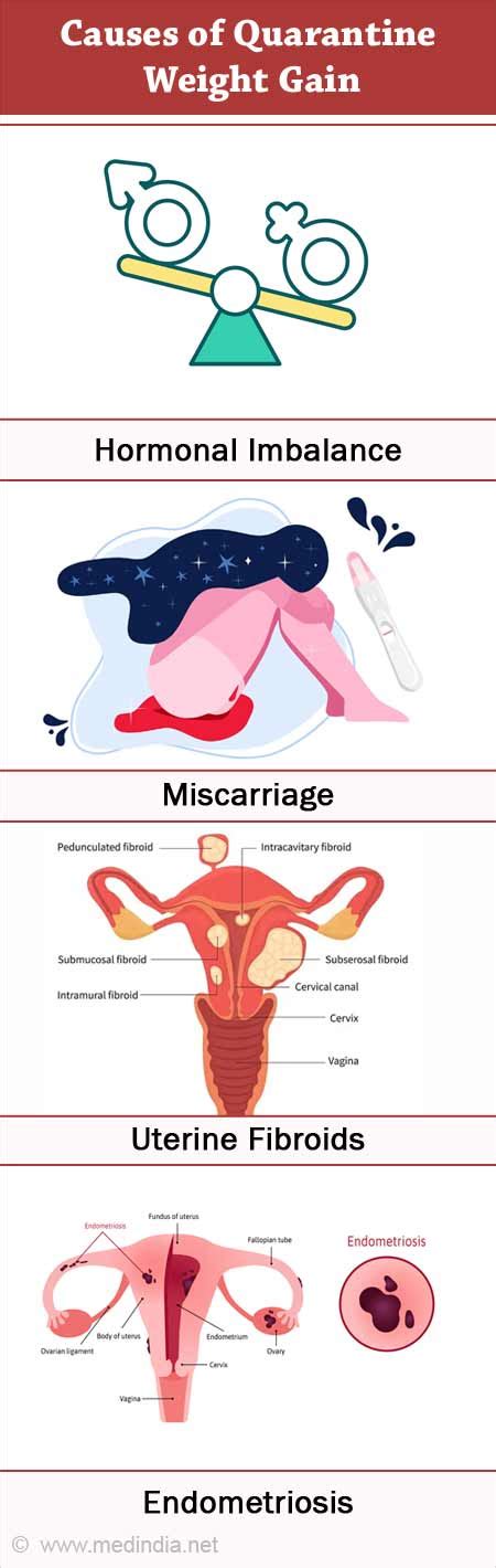 Uterine Tissue During Period