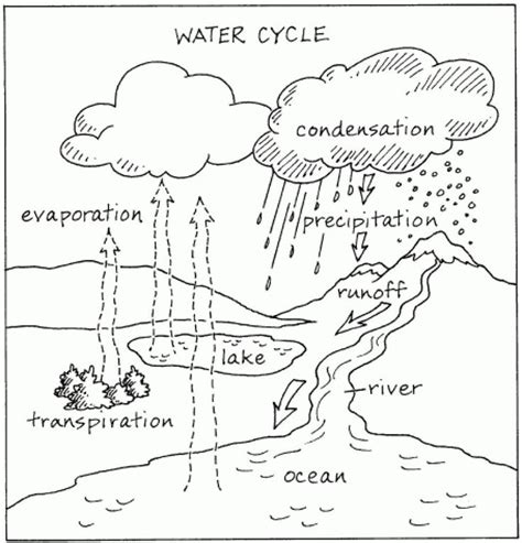 Printable Water Cycle Diagram | Aardrijkskunde, Onderwijs portfolio ...