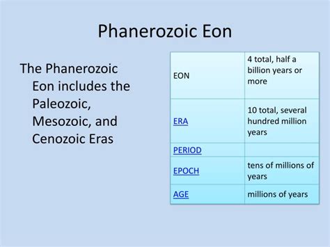 PPT - T5 Fossils & the Rock Records PowerPoint Presentation - ID:6037171