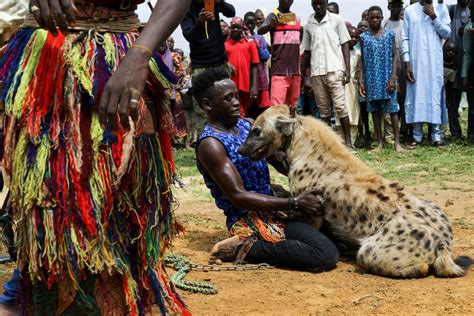 WIDER IMAGE Nigeria's hyena men put maligned animals centre stage | Reuters