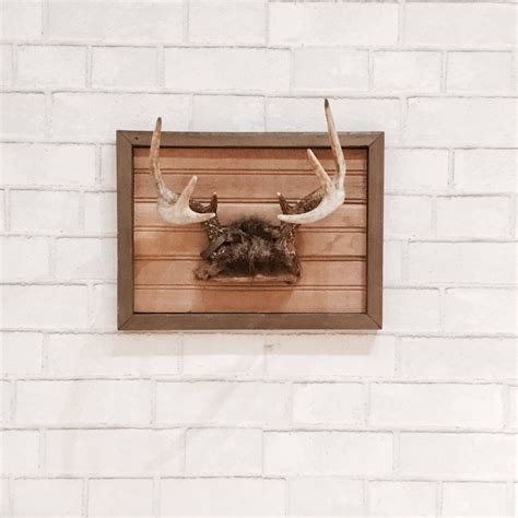 Mounted Antlers | Wall Decor | Jewelery Display | Bohemian | Farmhouse ...