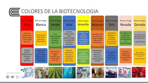 Biotecnología Ambiental - YouTube