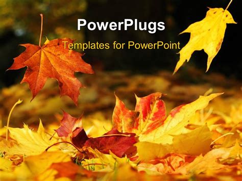 PowerPoint Template: a number of leaves in the fall season (2408)