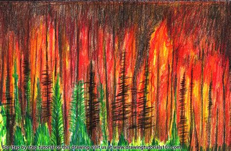 Forest Fire Drawing at PaintingValley.com | Explore collection of Forest Fire Drawing