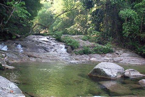 Beauty of Fauna and Flora in Nature: Butterflies of Batu Berangkai Waterfall @ Kampar