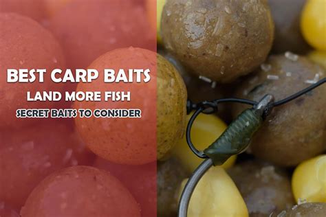 Best Bait for Carp Fishing: Top Carp Baits For Success - Fishing Tackle ...