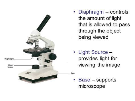 Microscope Diaphragm Function