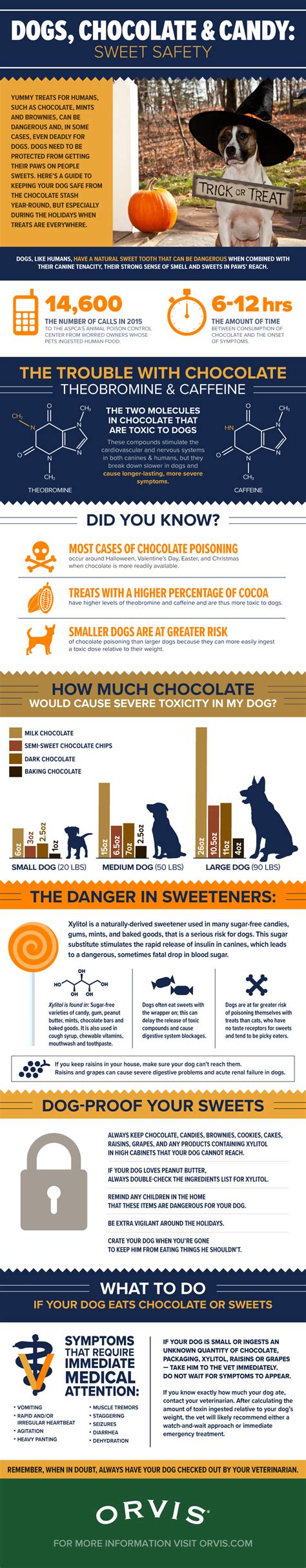 Dogs, Chocolate & Candy: Sweet Safety | by Sarah Hall Weaver | Medium