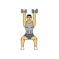 Over 20 Dumbbell Exercises Complete with Animated Diagrams - Sport Fitness Advisor