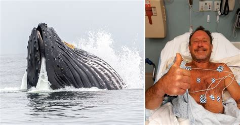 Man Swallowed by Whale and Survives, Modern-day Jonah Story