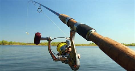 The 7 Best Telescoping Fishing Rods 2020 - By Experts