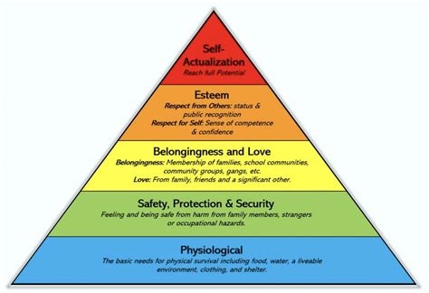 Safety as a Basic Human Need – Maslow's Hierarchy of Needs - Kami Home News