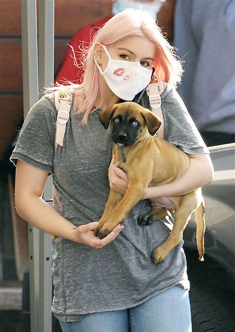 ARIEL WINTER with her Dog at Sherman Oaks Animal Hospital in Los ...