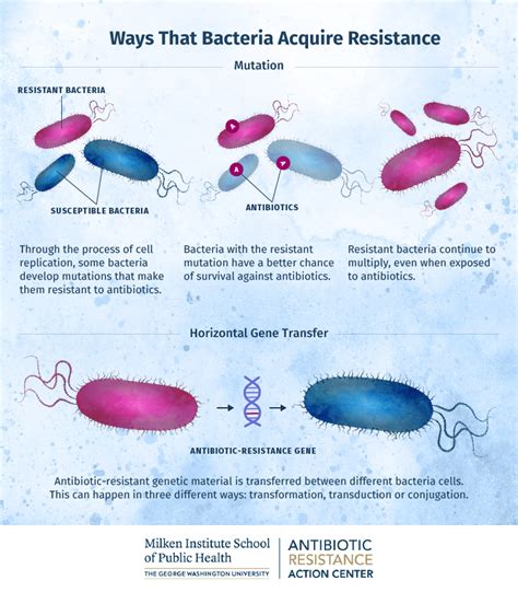 How Bacteria Build Resistance at the Cellular Level | Online Public Health