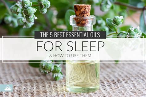 The 5 Best Essential Oils for Sleep - Elevays