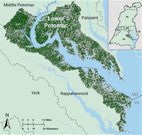 Lower Potomac • EcoHealth Report Cards