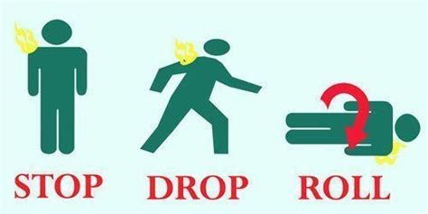 Stop, Drop and Roll | Fire safety week, Fire safety, Kids' book