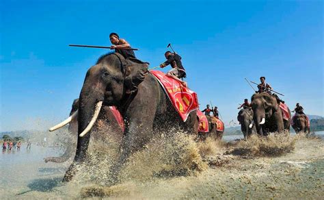 The Finest Magazine | Elephant racing festival in Vietnam's Dak Lak