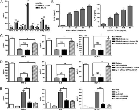 IL-10 secreted by M2a macrophages blunts ALD-DNA–induced macrophage M2b ...