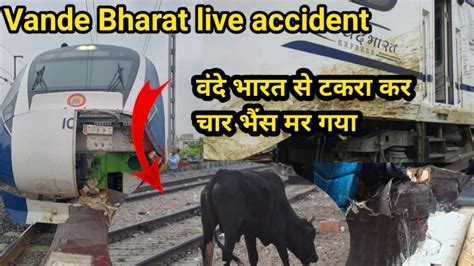 Vande Bharat express accident | new vande Bharat express accident buffalo | वंदे भारत का हुआ ...