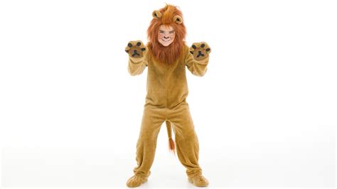 Child Deluxe Lion Costume | Safari Costumes