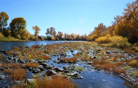 Beaverhead County, Montana - Map, Events & Towns in Beaverhead County, MT