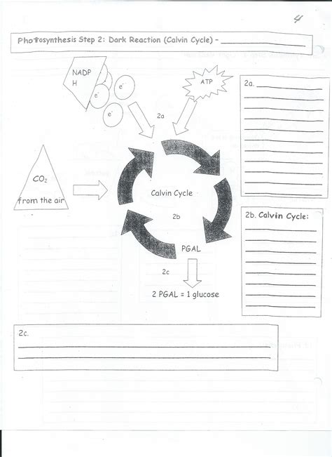 Biology Vocabulary Worksheet