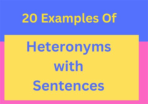 20 Examples Of Heteronyms With Sentences For Better English!