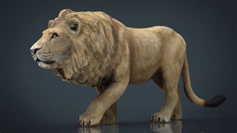 Realistic Lion - 3D Model by sanchiesp