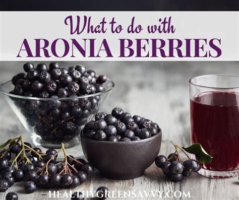 15 Best Aronia Berry Recipes {Tasty Chokeberry Recipes!}