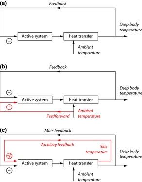 Feedback and feedforward in thermoregulation. The multisensory,... | Download Scientific Diagram