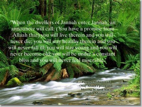 25 ways to Enter Jannah (Paradise) | Hadith, Islamic information, Paradise