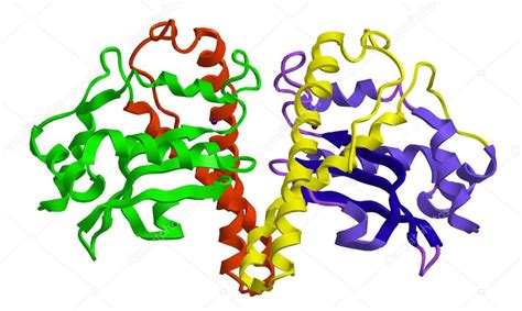 Superoxide Dismutase Structure