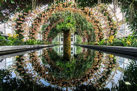 Virtual Spring at the New York Botanical Garden - SkoutTravel