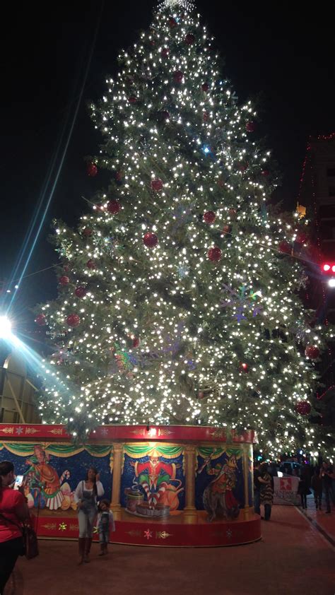 The Christmas tree in Fort Worth's Sundance Square. (People in the ...