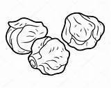 Sprouts Coloring Brussels Brussel Bruxelles Sprout Choux Coloriage Chou  sketch template