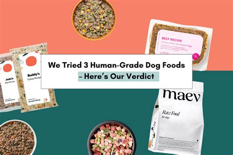 We Reviewed The Best Human-Grade Dog Food Brands Out There: Ollie, The Farmer's Dog, And Maev ...