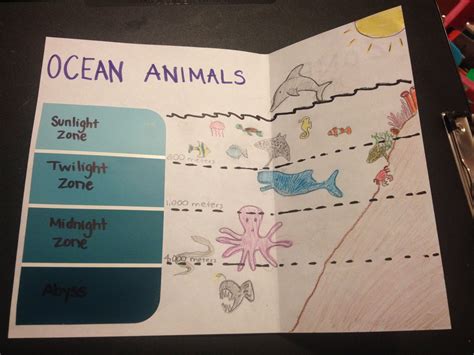 Ocean Zones Diagram For Kids