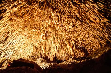 Mallorca: Caves of Drach Tour from the North with Boat Trip | GetYourGuide