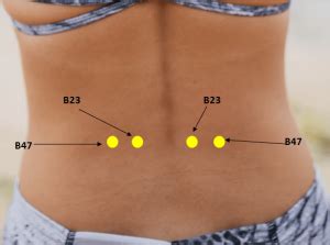 Top 7 Acupressure Point For Back Pain - Tricky Edu