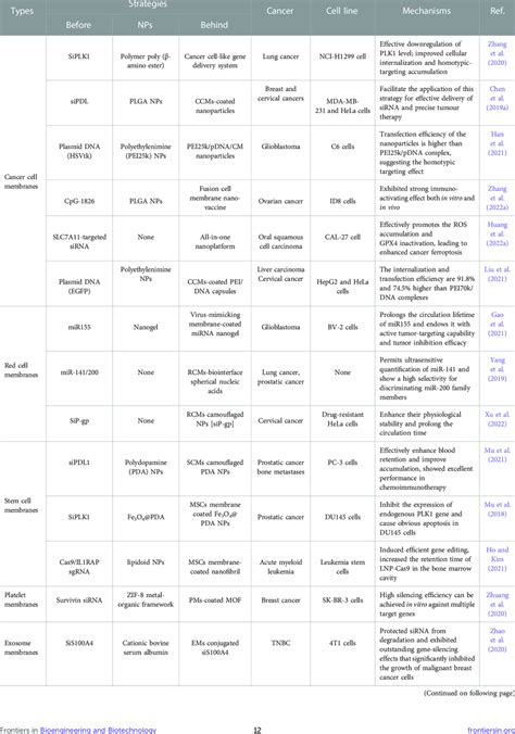 Strategies for enhancing the siRNA delivery in cancer therapy of... | Download Scientific Diagram