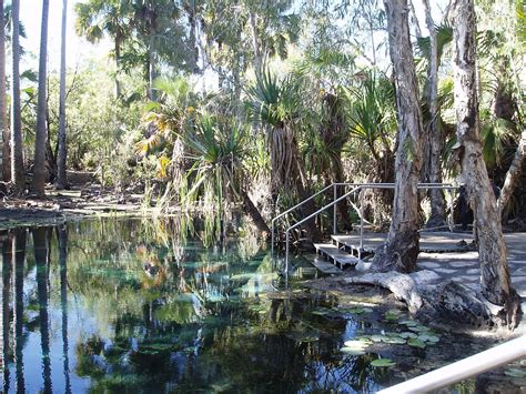 The Travelling Novocastrians: Mataranka - Northern Territory (Double ...