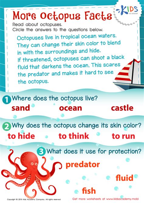 Octopus Habitat For Kids | Kids Matttroy